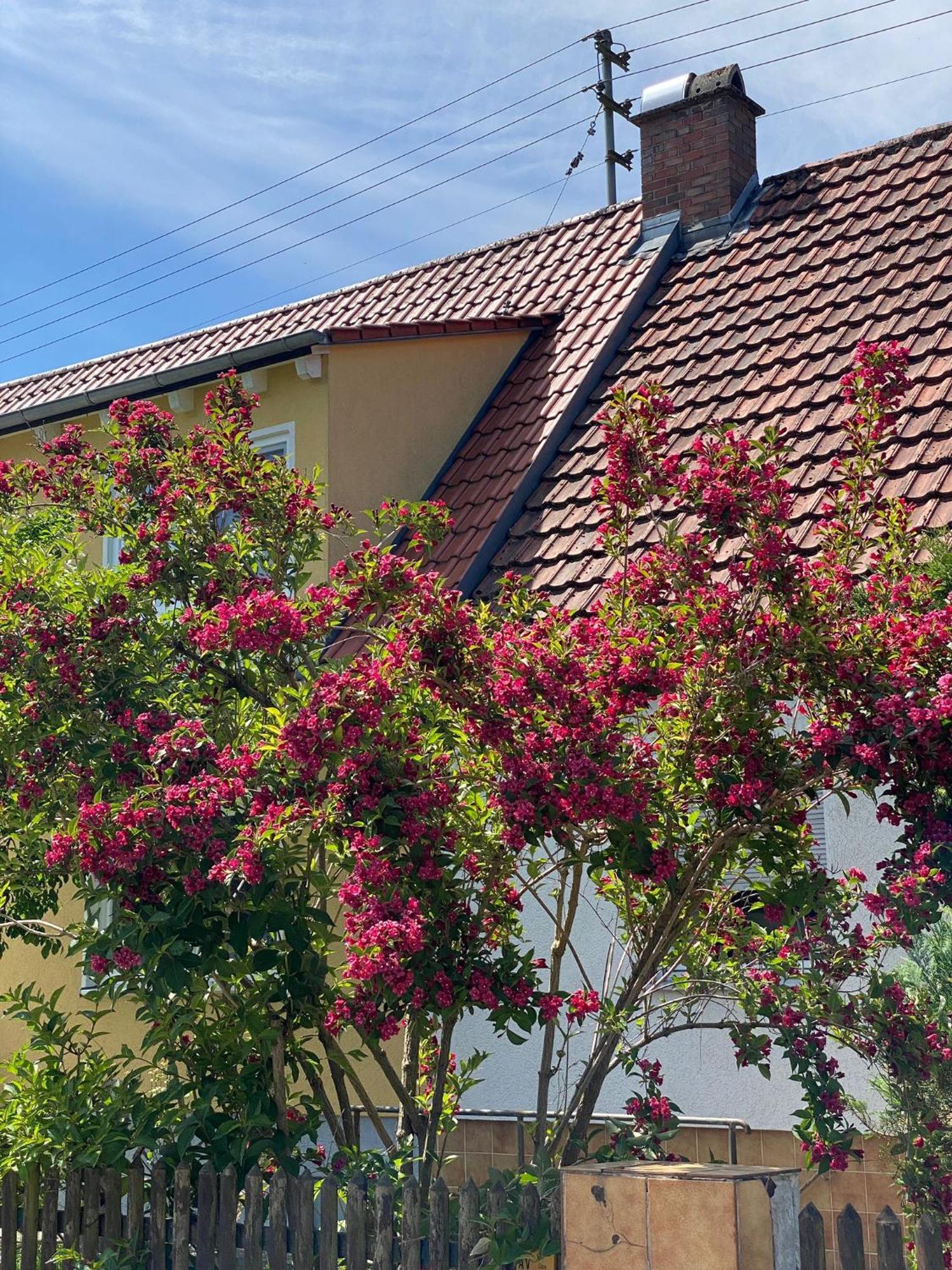 Haus Am Kuhsee Augsburg Bagian luar foto